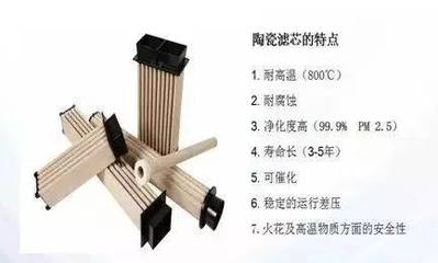 脱硫除尘新技术引领行业变革，东狮公司共襄智慧绿色工厂盛会